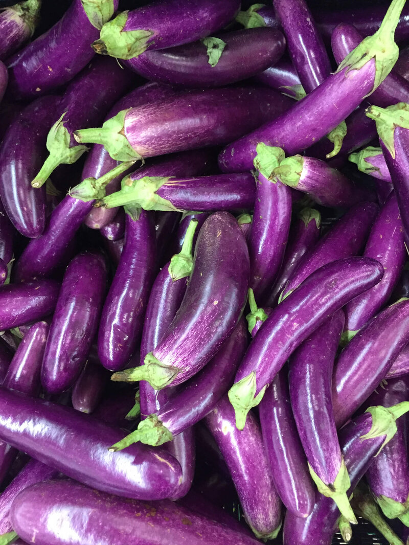 Solanum melongena ‚Violet Knight‘