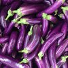 Solanum melongena ‚Violet Knight‘