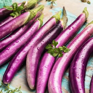 Solanum melongena ‚Violet Knight‘