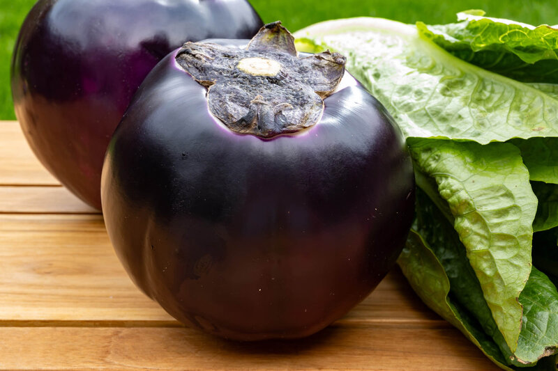Solanum melongena ‚Violetta di Firenze‘