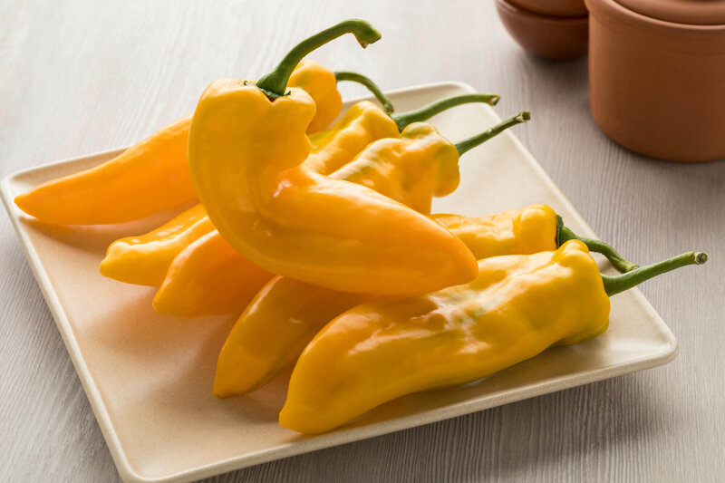 Capsicum annuum 'Ringo'