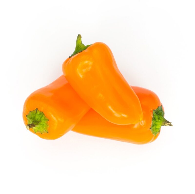Capsicum annuum 'Orange Snack'