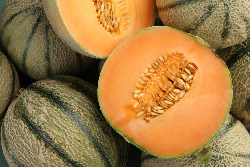 Cucumis melo 'Perseus'
