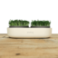 Bio Sprouting Anzuchtschale, doppelt