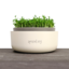 Bio Sprouting Anzuchtschale, einfach