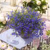 Lobelia 'Enzian Blau'