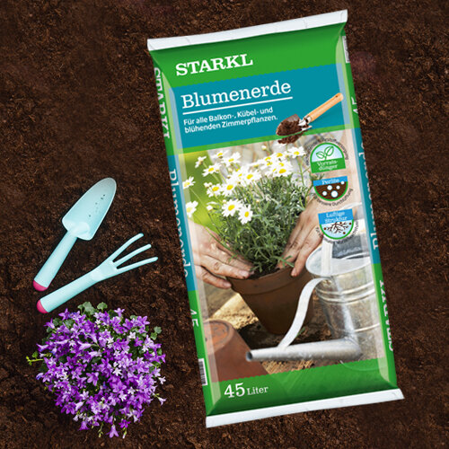 Blumenerde, mit Perlite