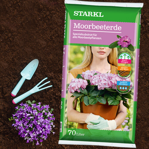 für Moorbeetpflanzen