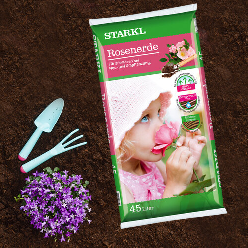 für Rosen