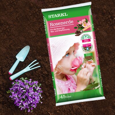 für Rosen