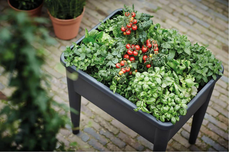 Elho® Green Basics Anzuchttisch Super XXL