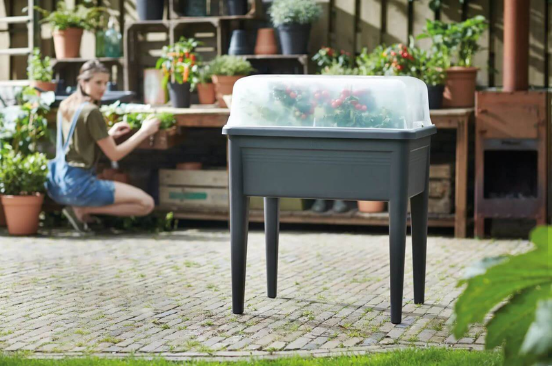 Elho® Green Basics Anzuchthaus XXL - Haube