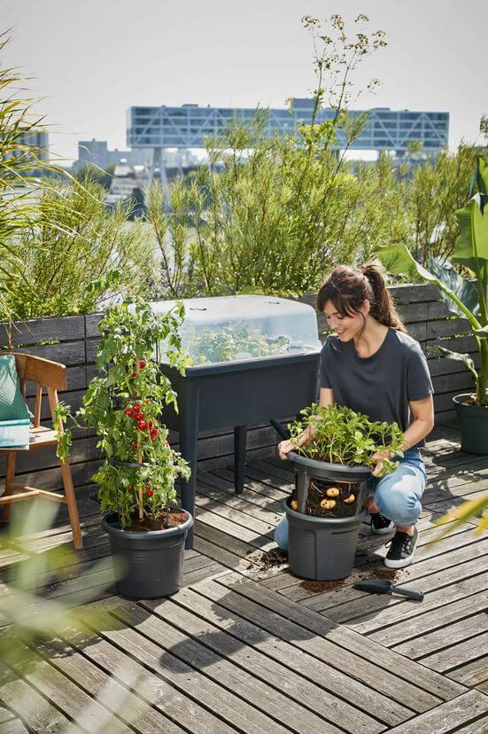 Elho® Green Basics Anzuchthaus XXL - Haube