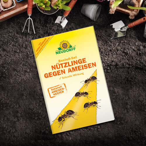 Nützlinge Neudorff®