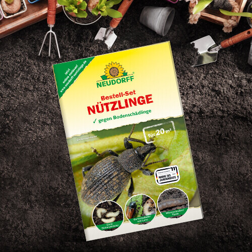 Neudorff® Bestell-Set Nützlinge 20 m2