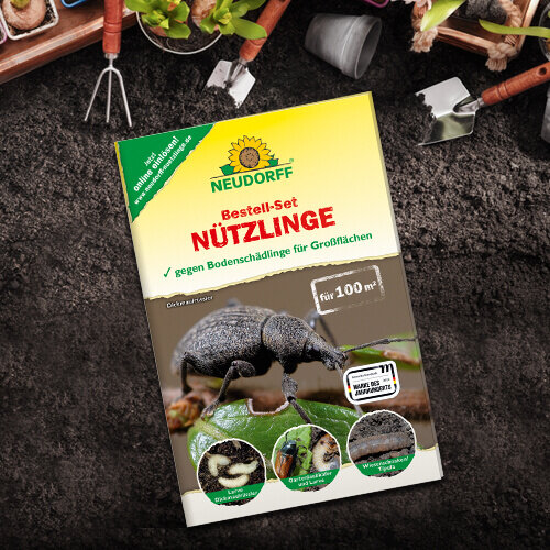 Nützlinge Neudorff®