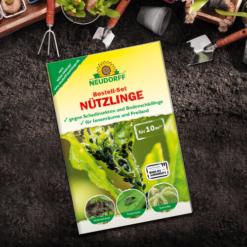 Neudorff® Bestell-Set Nützlinge 10 m2