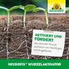 WurzelAktivator Neudorff®