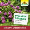 Neudorff®