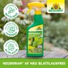 Neudorff®