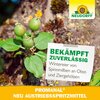 Neudorff®