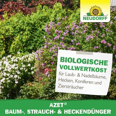 Neudorff Azet Strauch- & HeckenDnger | STARKL