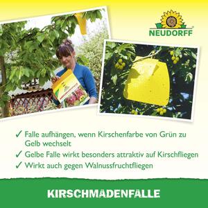 Mittel gegen Schnecken