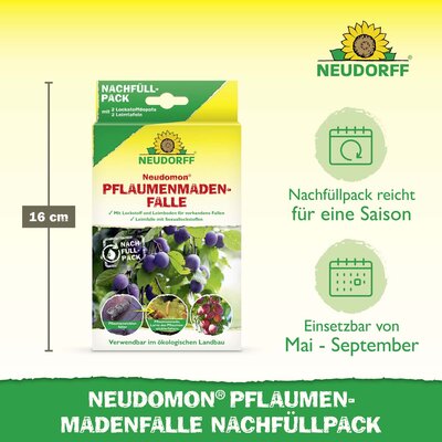 künstliche fingernägel aufkleben Ellie Vincy Press-on-Nägel – Kurze Sarg-French-Tip main image 0