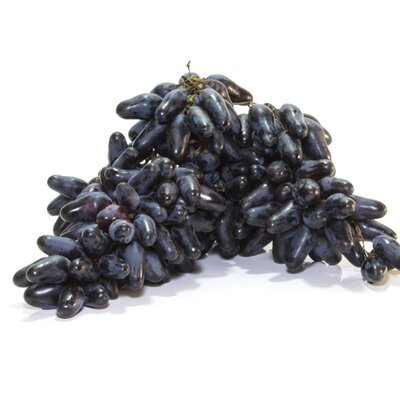 Vitis vinifera Souvenir