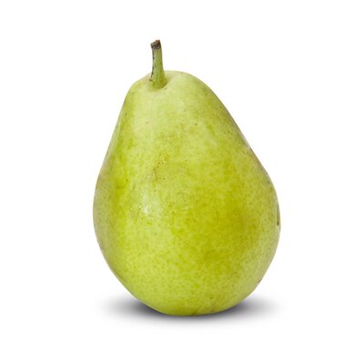 Pyrus communis Gräfin von Paris