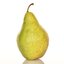 Pyrus communis Kaiserbirne